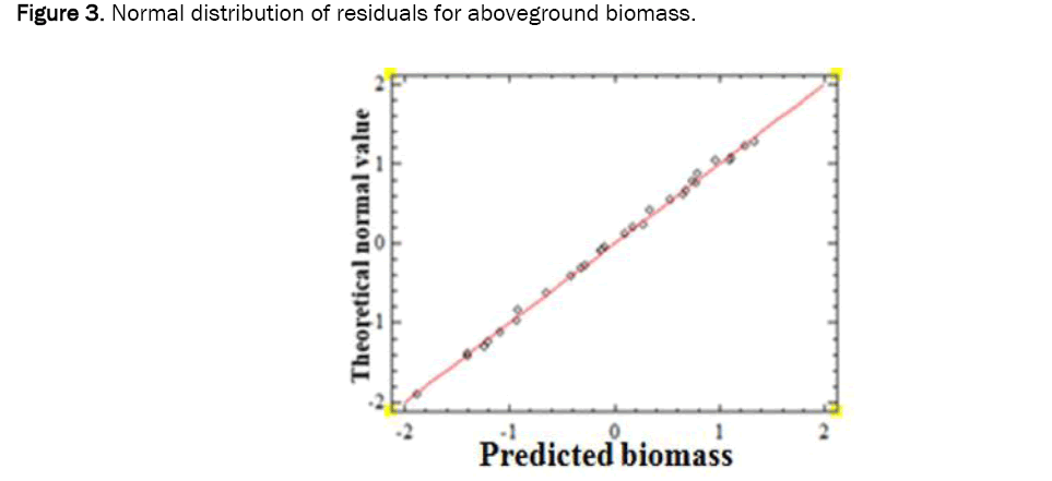 environmental-sciences-biomass