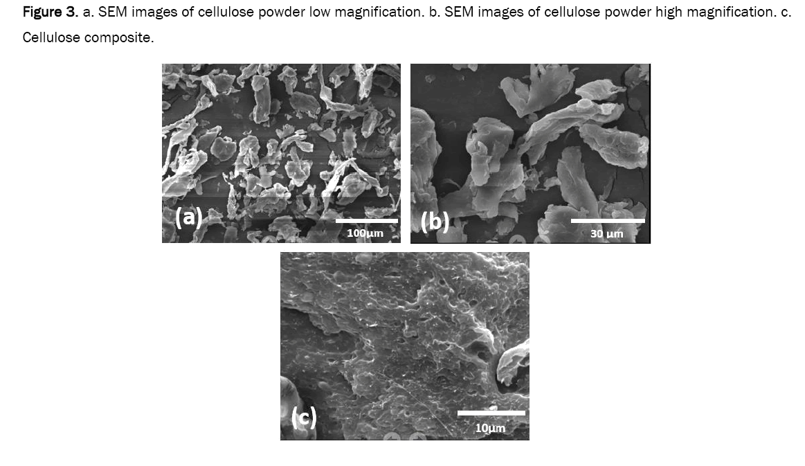 material-sciences-cellulose