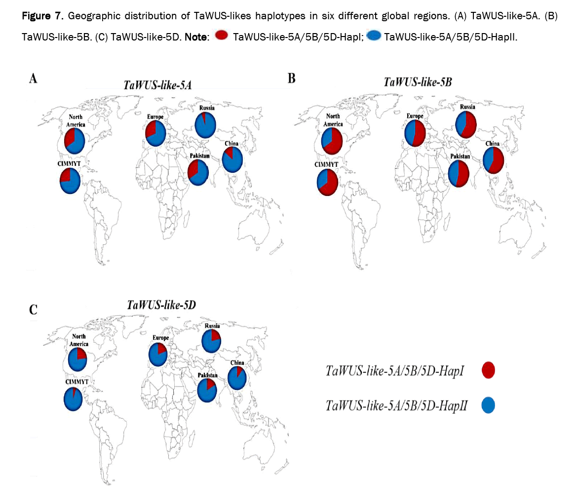 microbiology-haplotypes