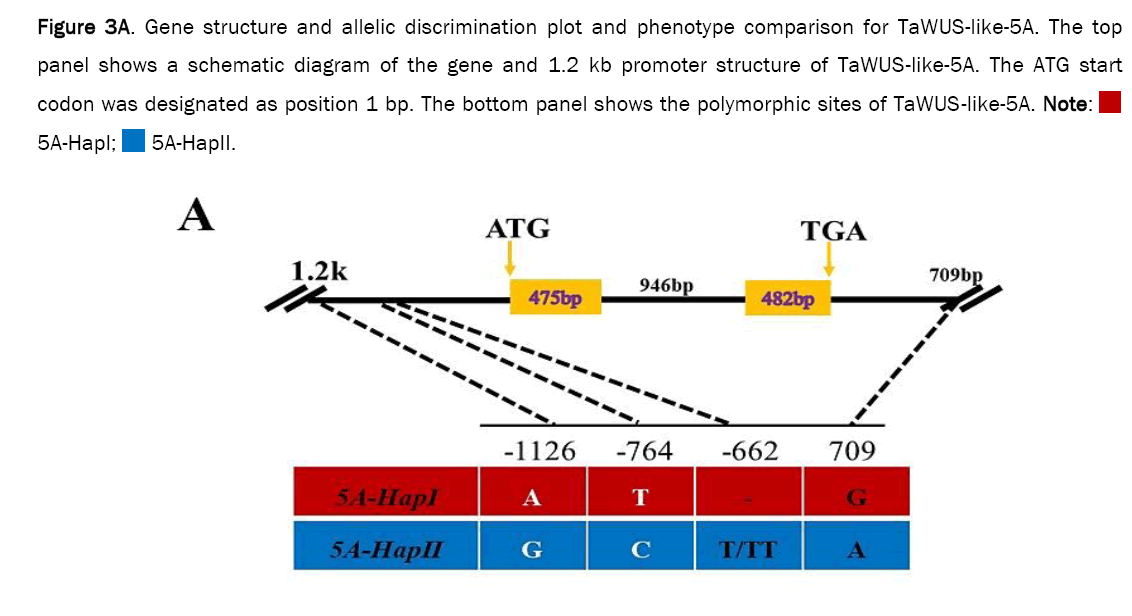 microbiology-phenotype