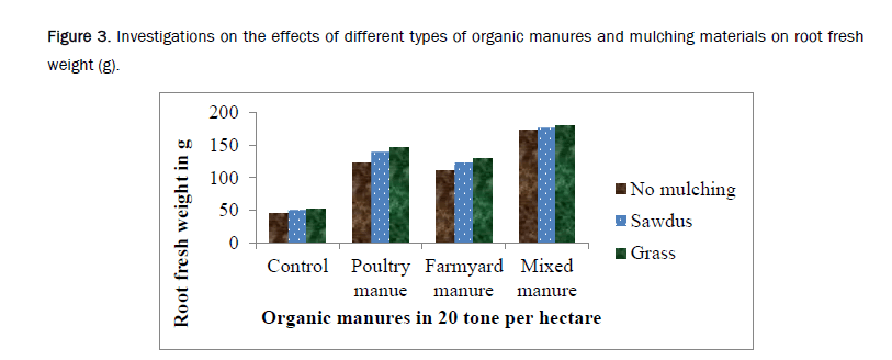 agriculture-allied-mulching