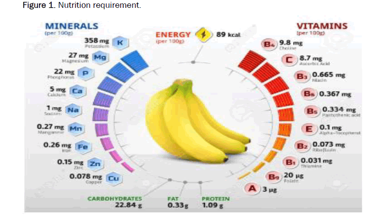 agriculture-allied-nutrition