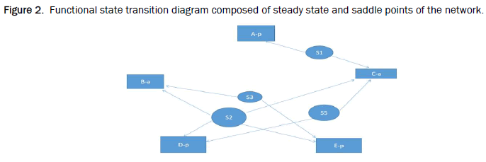 biology-steady