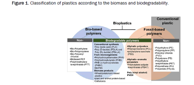 material-sciences-biomass
