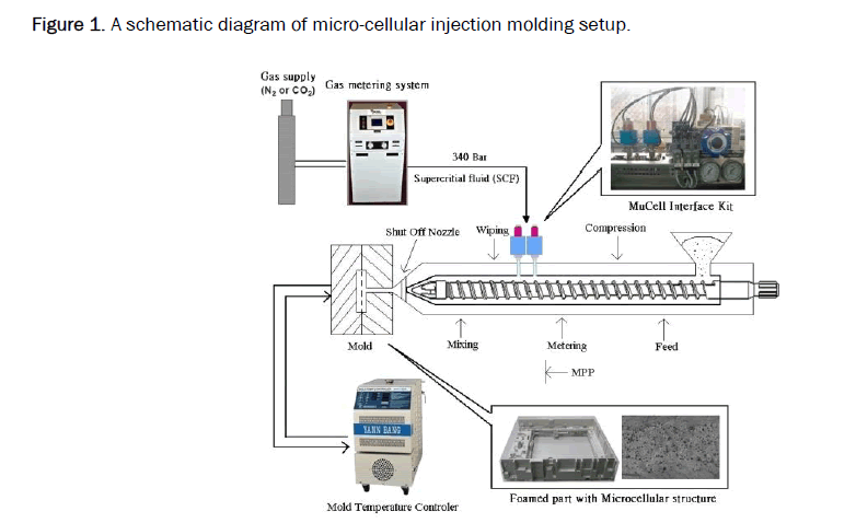 material-sciences-cellular