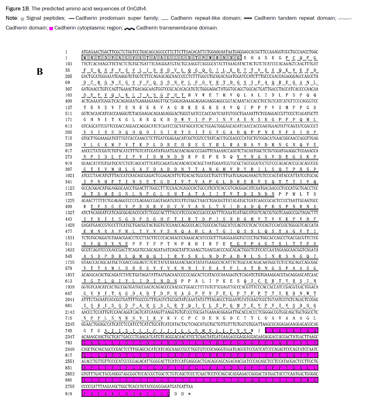 microbiology-acid