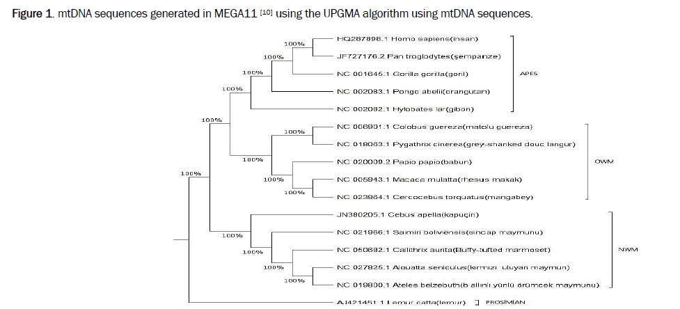 microbiology-algorithm