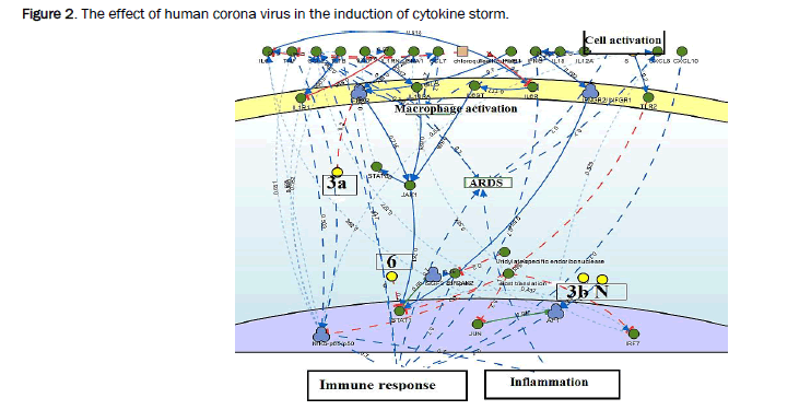 microbiology-cytokine