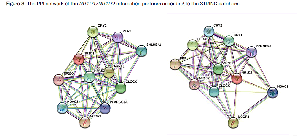 microbiology-interaction