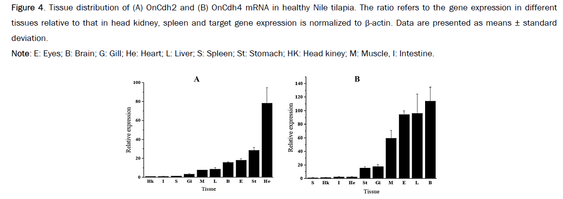 microbiology-nile