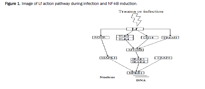 microbiology-pathway