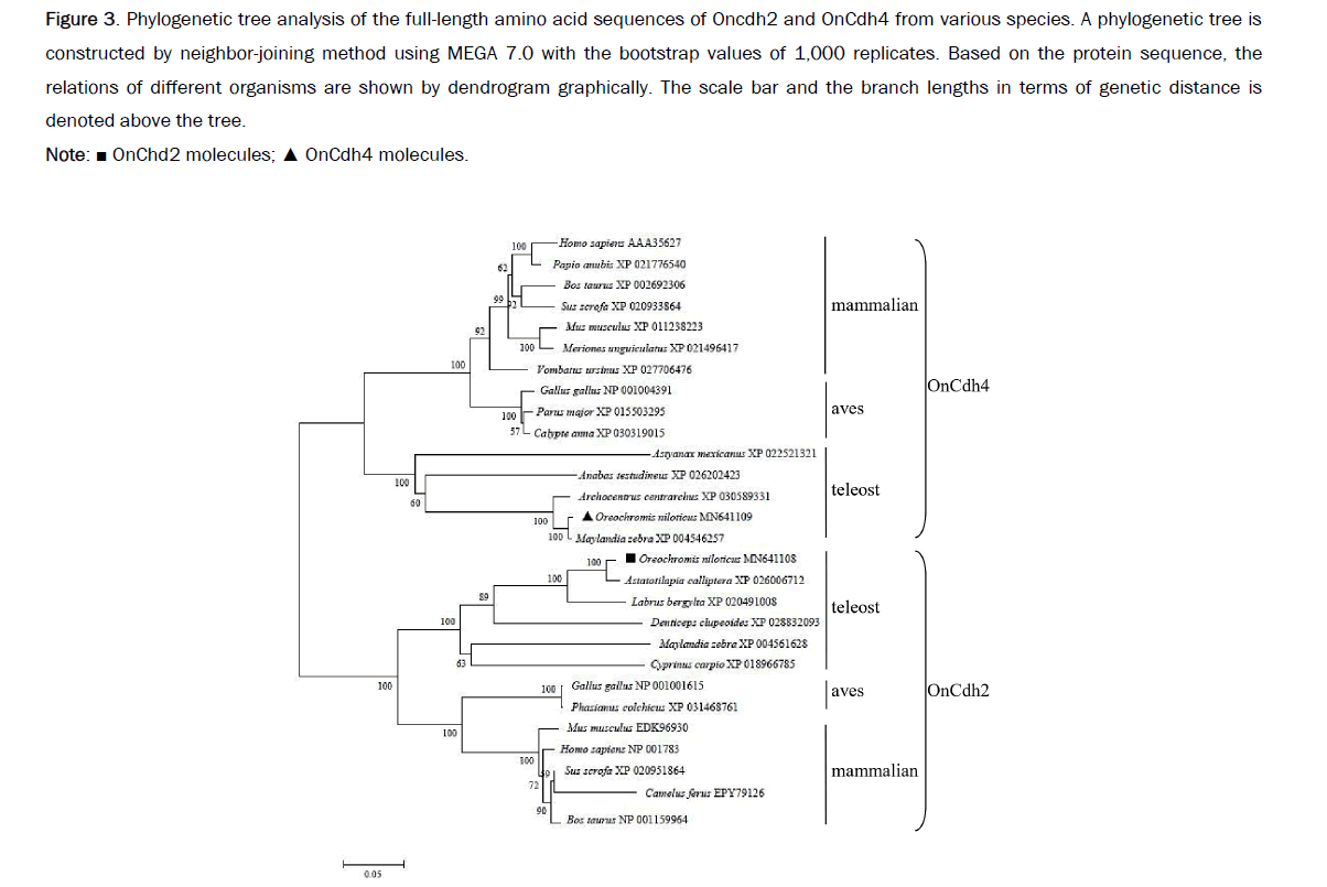 microbiology-sequences