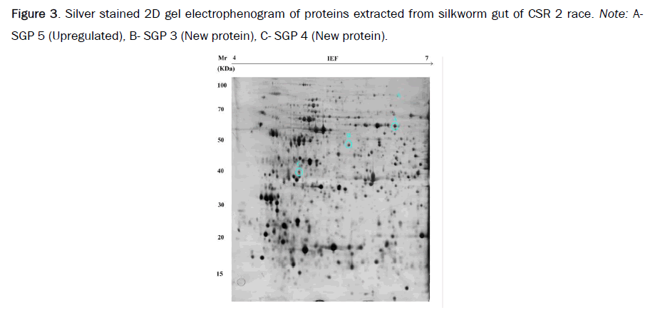 microbiology-silkworm