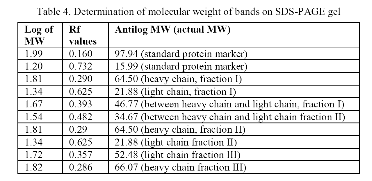 Journal-of-Biology-Determination-molecular-weight-bands
