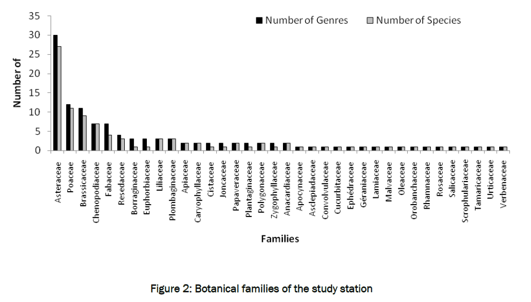 botanical-sciences-Botanical-families-study-station