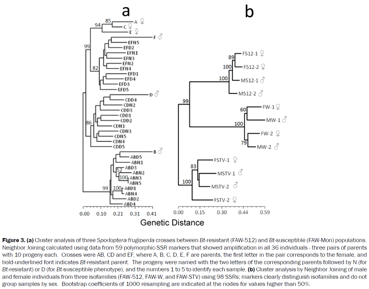 botanical-sciences-Cluster-resistant-susceptible