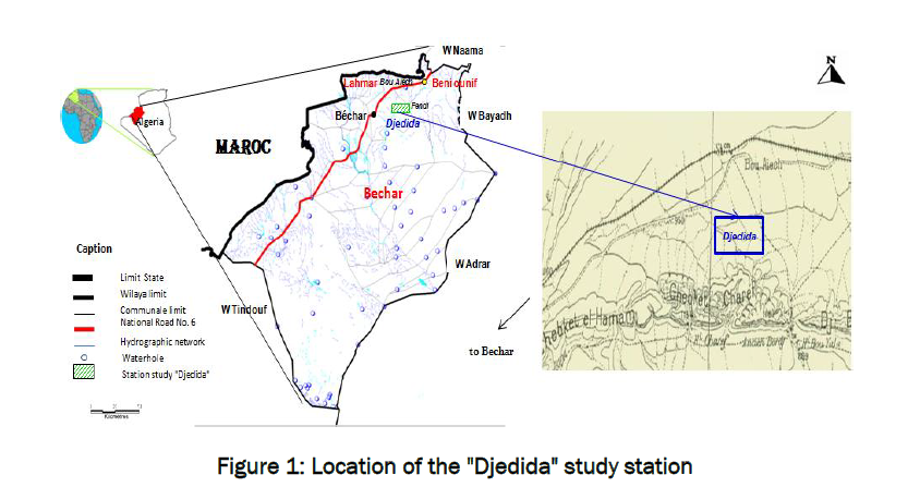 botanical-sciences-Djedida-study-station