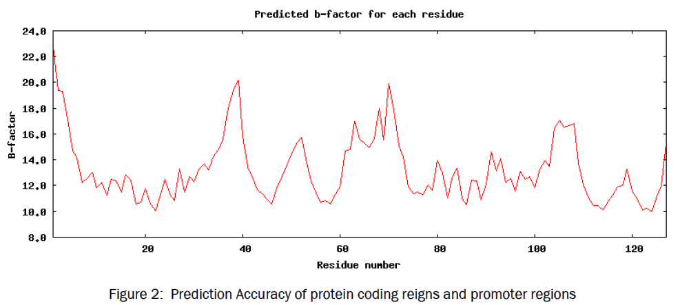 engineering-technology-Prediction-Accuracy-protein-coding