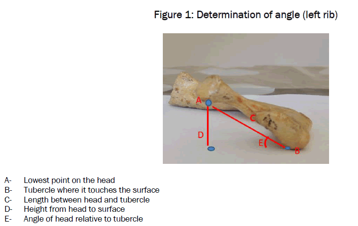 medical-health-sciences-Determination-angle