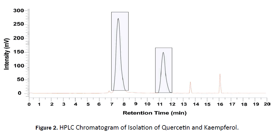 pharmaceutical-analysis-Chromatogram