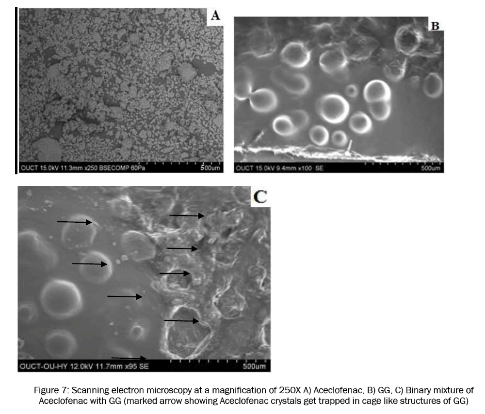 pharmaceutical-sciences-electron-microscopy