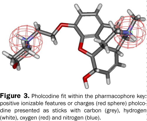 pharmacy-pharmaceutical-sciences-positive-ionizable